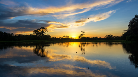 por do sol na amazonia